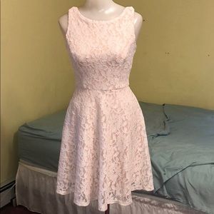 NWT Lace skater dress